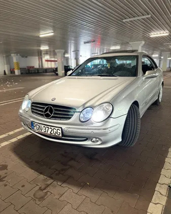 mercedes benz trzemeszno Mercedes-Benz CLK cena 24000 przebieg: 259993, rok produkcji 2003 z Trzemeszno